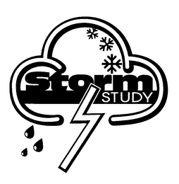 STORM STUDY logo