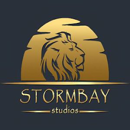 STORMBAY STUDIOS logo