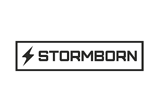 STORMBORN logo