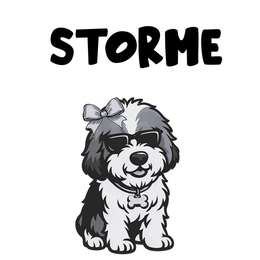 STORME logo