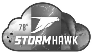 STORMHAWK 78° logo