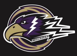 STORMHAWKS logo