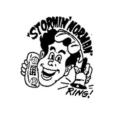 "STORMIN' NORMAN" RING! logo