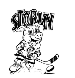STORMY logo