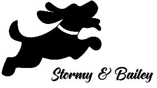 STORMY & BAILEY logo