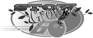STOW GROW N GO logo