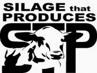 STP SILAGE THAT PRODUCES logo