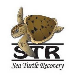 STR SEA TURTLE RECOVERY logo