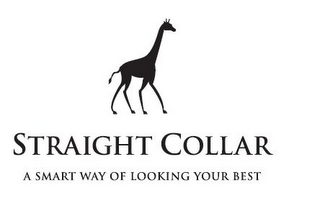 STRAIGHT COLLAR A SMART WAY OF LOOKING YOUR BEST logo