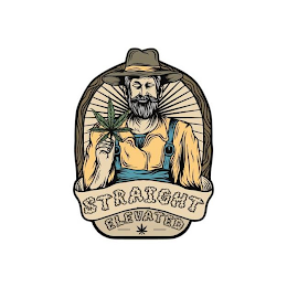 STRAIGHT ELEVATED logo