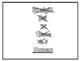 STRAIGHT GAY BI TRANS Q? HUMAN logo