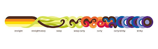 STRAIGHT STRAIGHT-WAVY WAVY WAVY-CURLY CURLY CURLY-KINKY KINKY logo