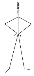 STRAIGHTLINE logo