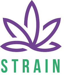 STRAIN logo