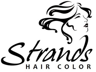 STRANDS HAIR COLOR logo