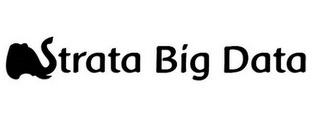 STRATA BIG DATA logo
