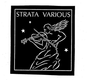 STRATA VARIOUS logo