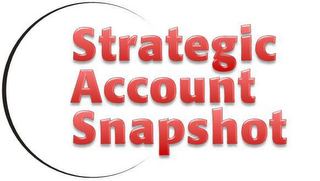 STRATEGIC ACCOUNT SNAPSHOT logo