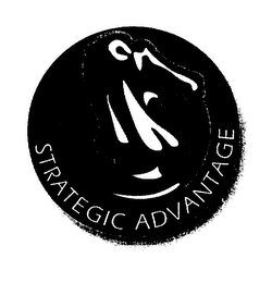 STRATEGIC ADVANTAGE logo