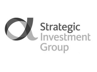STRATEGIC INVESTMENT GROUP logo