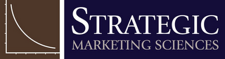 STRATEGIC MARKETING SCIENCES logo