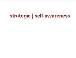 STRATEGIC SELF-AWARENESS logo