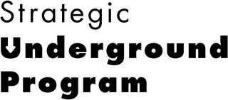 STRATEGIC UNDERGROUND PROGRAM logo