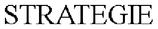 STRATEGIE logo