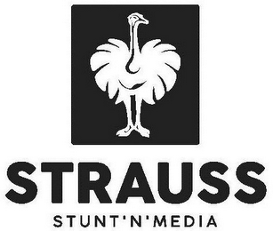 STRAUSS STUNT'N'MEDIA logo