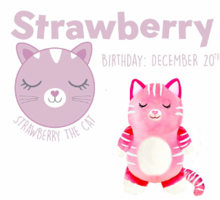 STRAWBERRY BIRTHDAY: DECEMBER 20TH STRAWBERRY THE CAT logo
