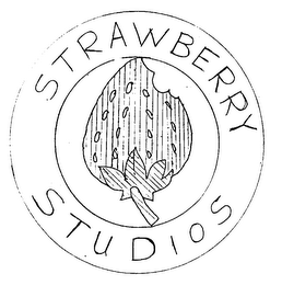 STRAWBERRY STUDIOS logo