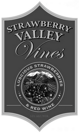 STRAWBERRY VALLEY VINES LUSCIOUS STRAWBERRIES & RED WINE 14% ALC./VOL logo