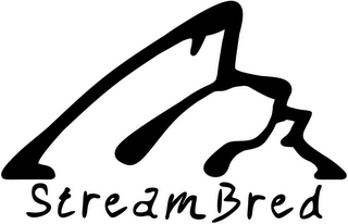STREAMBRED logo