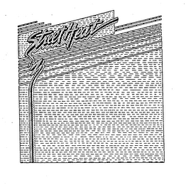 STREET HEAT logo