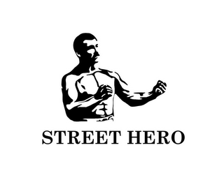 STREET HERO logo