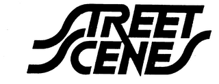 STREET SCENES logo