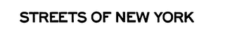 STREETS OF NEW YORK logo