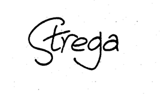 STREGA logo