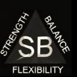 STRENGTH BALANCE FLEXIBILITY logo