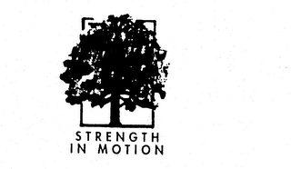 STRENGTH IN MOTION logo