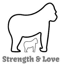 STRENGTH & LOVE logo