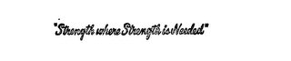 "STRENGTH WHERE STRENGTH IS NEEDED" logo