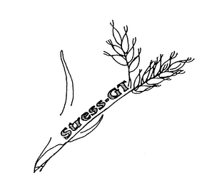 STRESS-GT logo