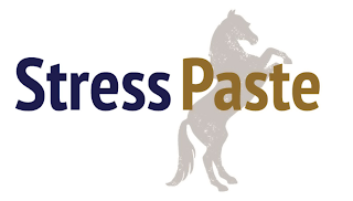 STRESS PASTE logo