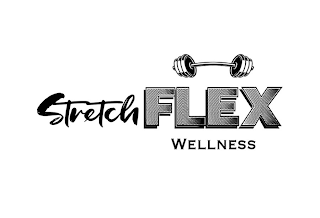 STRETCHFLEX WELLNESS logo