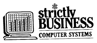 STRICTLY BUSINESS COMPUTER SYSTEMS logo