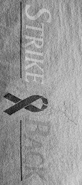 STRIKE BACK logo
