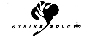 STRIKE GOLD FIQ logo