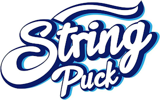 STRING PUCK logo