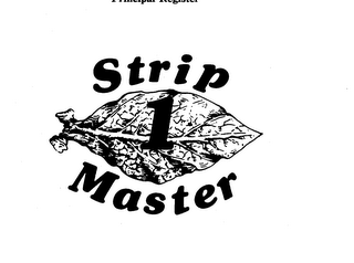 STRIP 1 MASTER logo